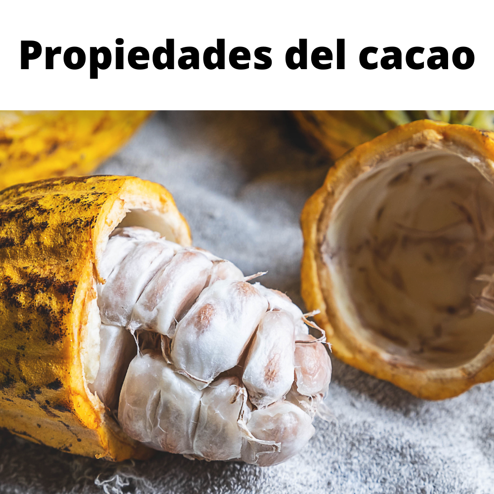Propiedades del Cacao ¿Las conocías todas?
