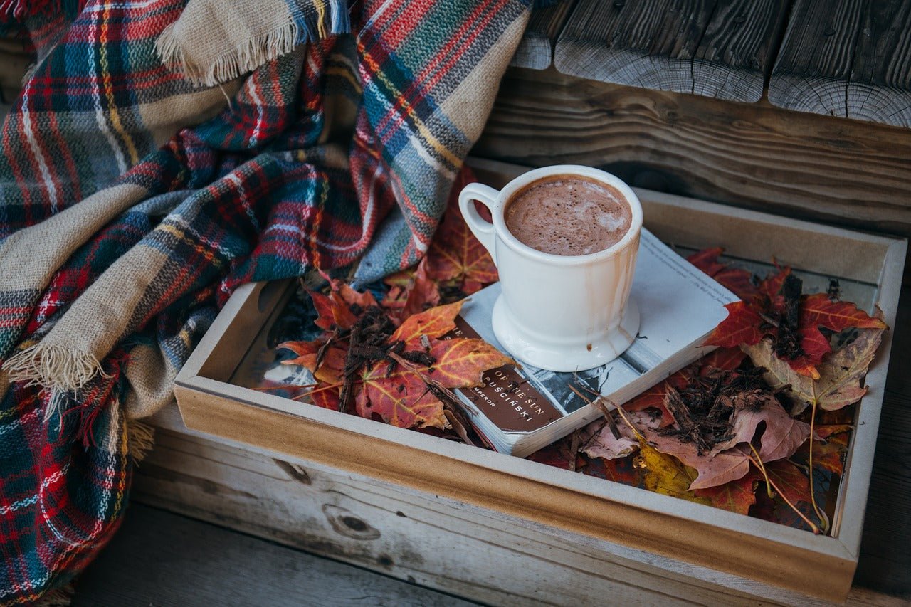 Historia del chocolate - chocolateSI.com