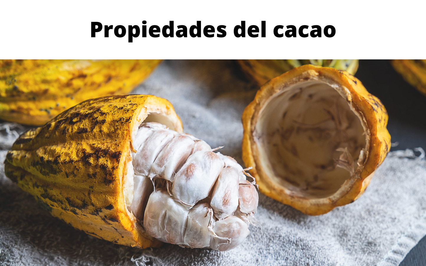 Propiedades del Cacao ¿Las conocías todas?